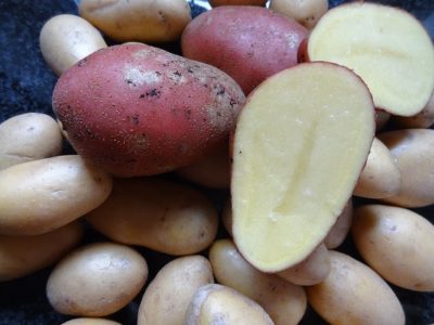 bunch of red skin and regular potatoes