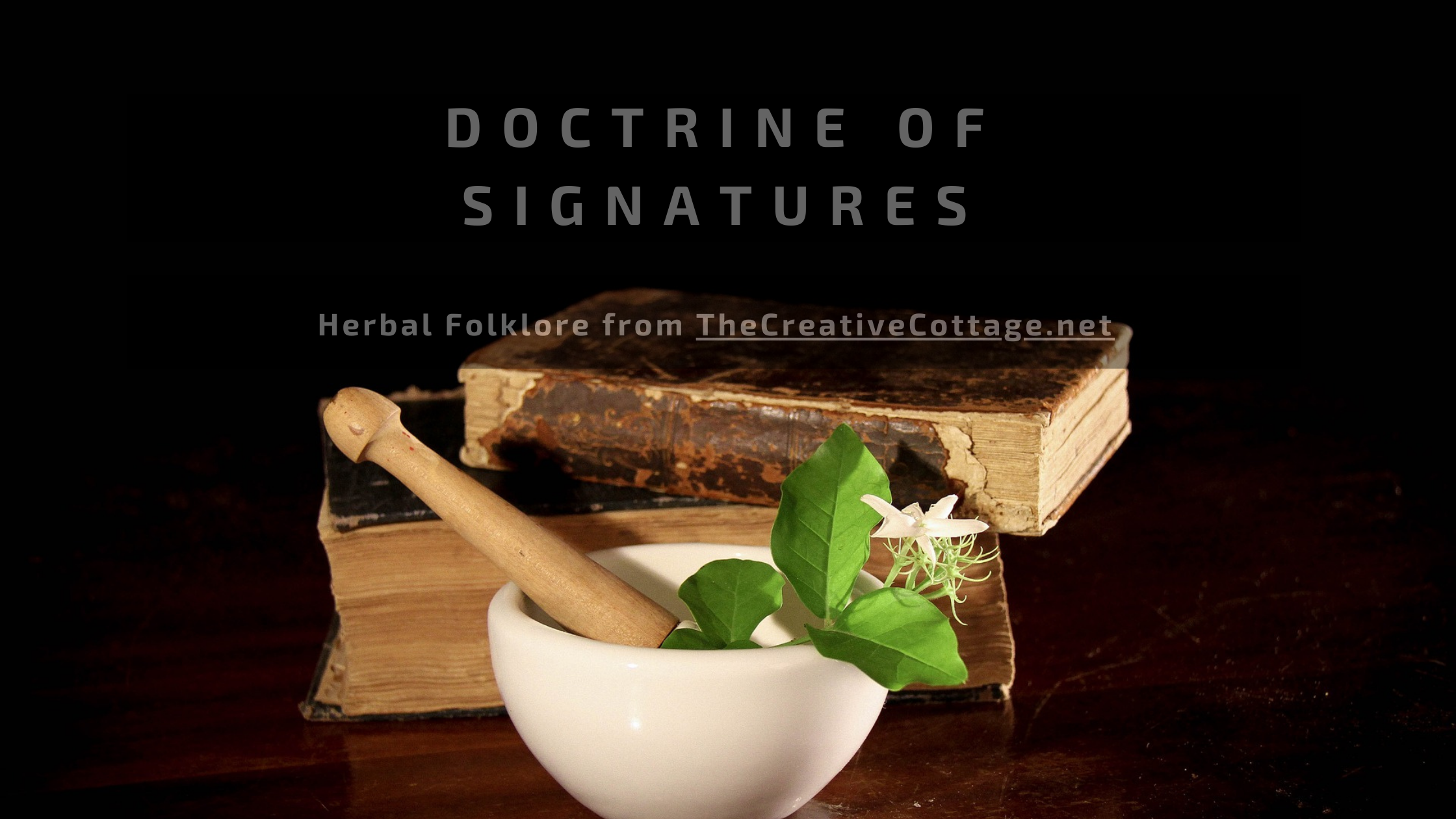 herbs in mortar with pestle illustration the Doctrine of Signatures