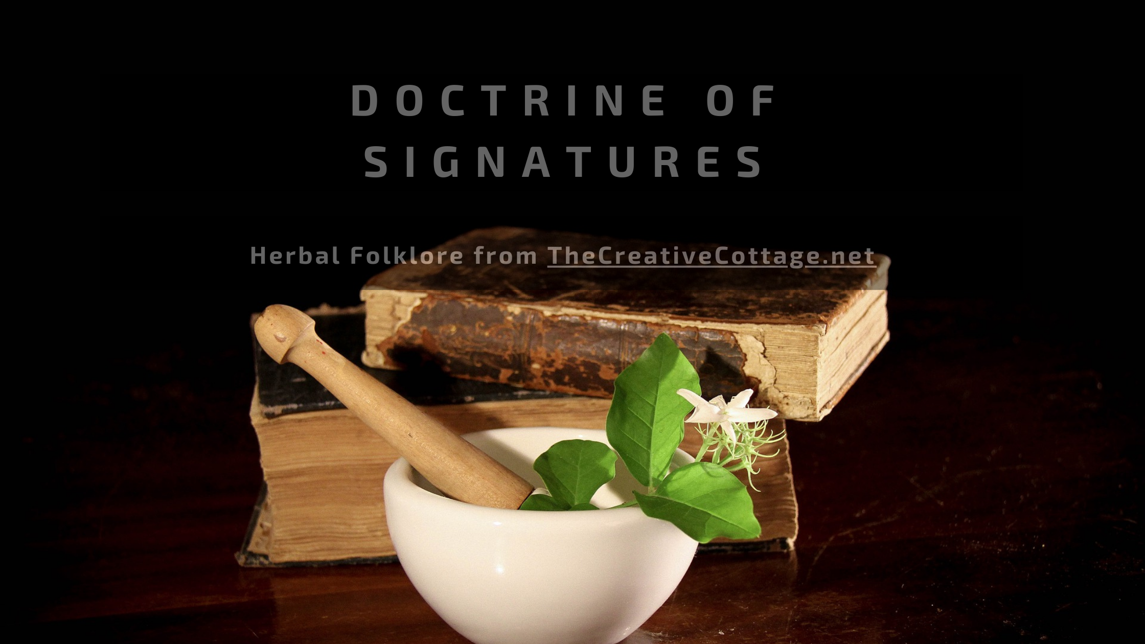 herbal-folklore-what-is-the-doctrine-of-signatures-the-creative-cottage