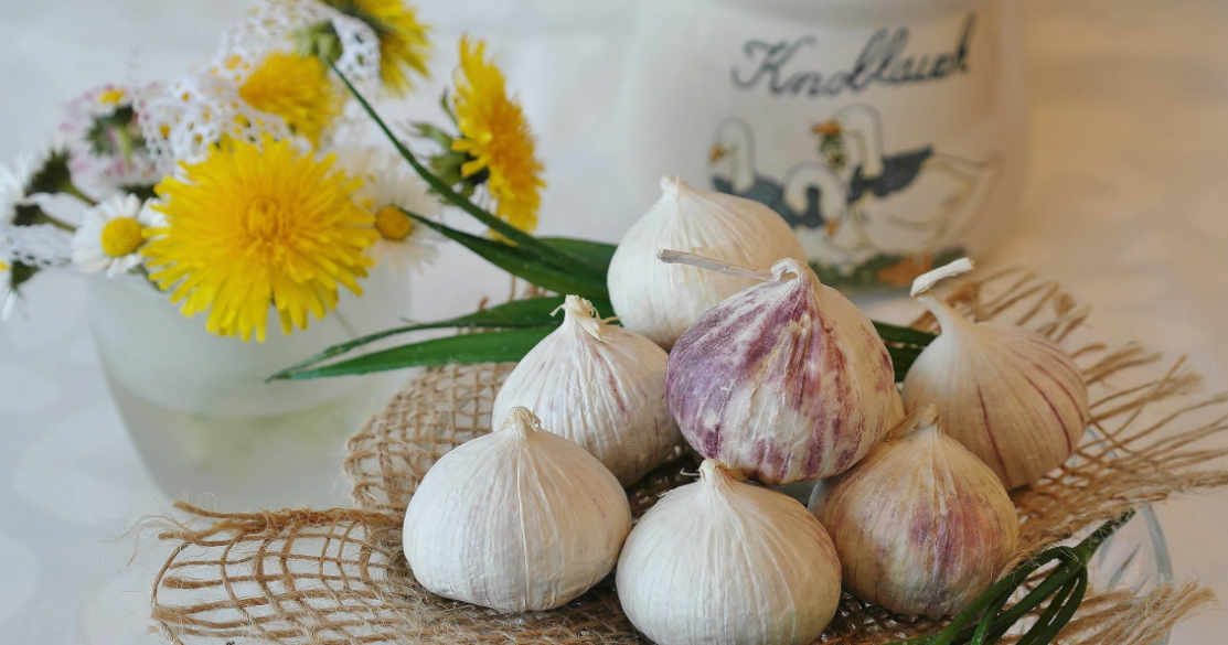 Group of garlic bulbs sitting on table