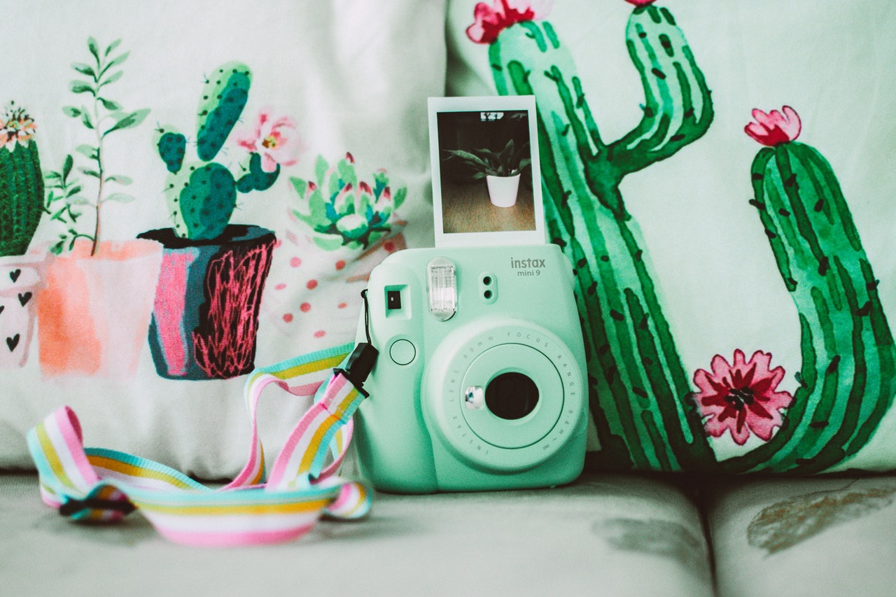 drawing of cactus plants with camera