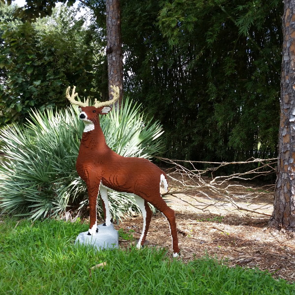 Lego's Nature Connects Gallery - Mounts Botanical Garden - The Creative ...