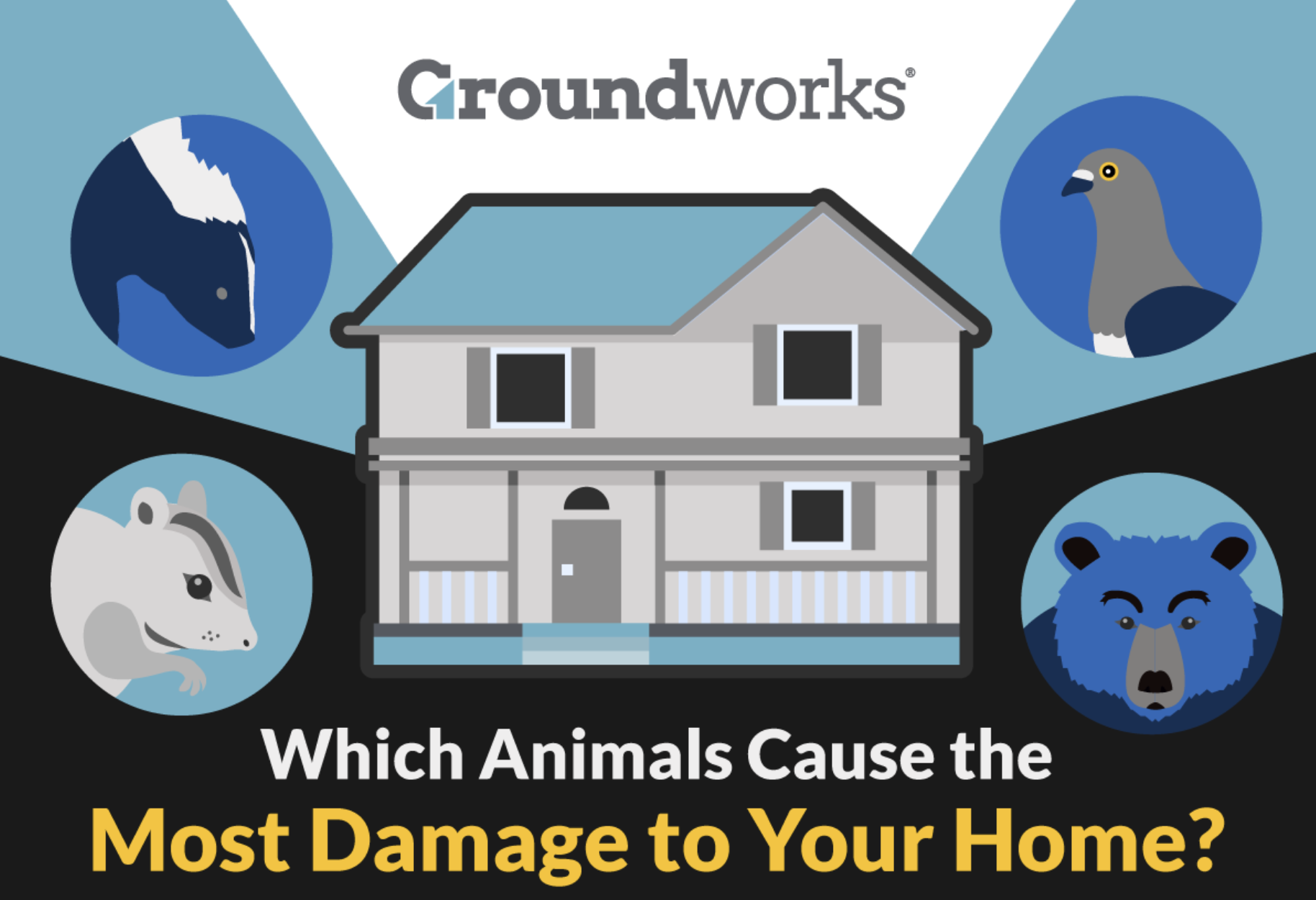 Groundworks which animals and pests cause the most damage to your home infographic